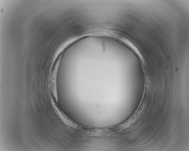 X0000081581485200702051227