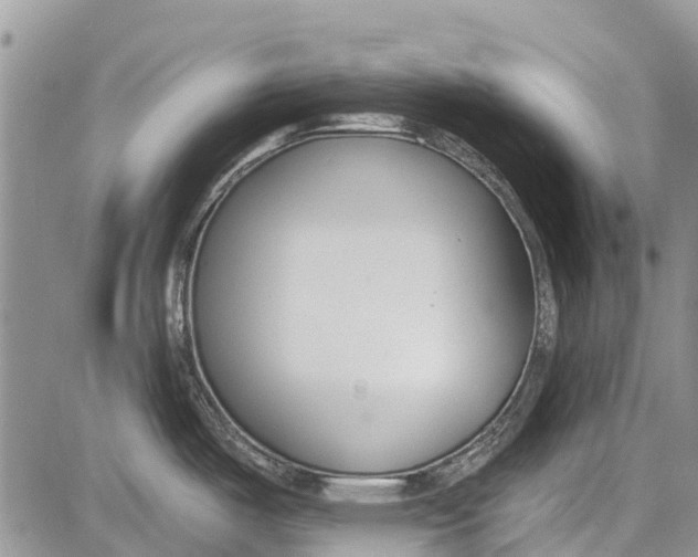 X0000081581487200702051227