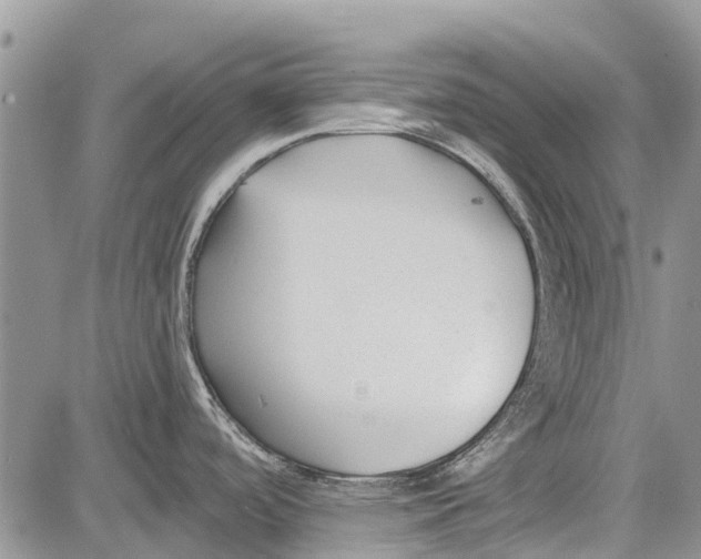 X0000081581488200702051226