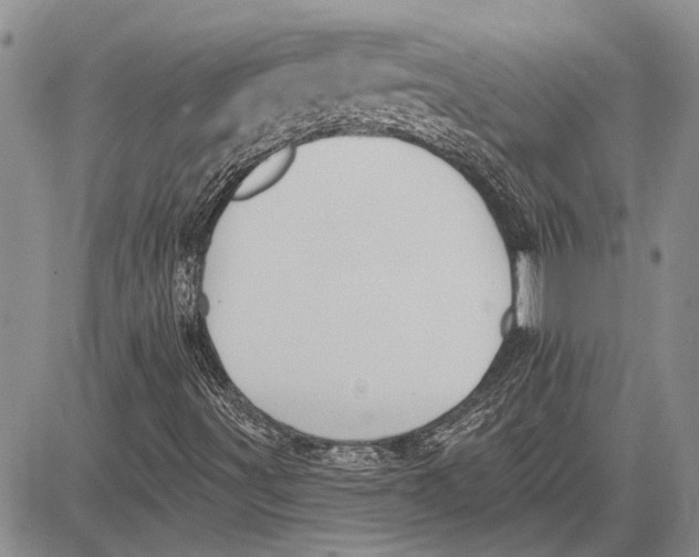 X0000081581491200702051226