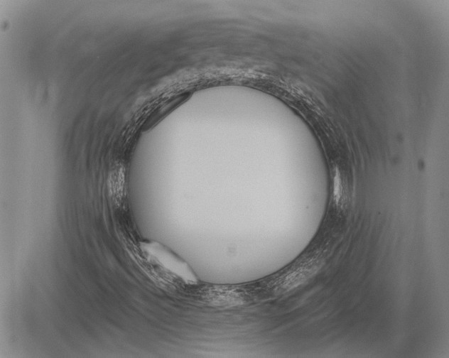 X0000081581492200702051226