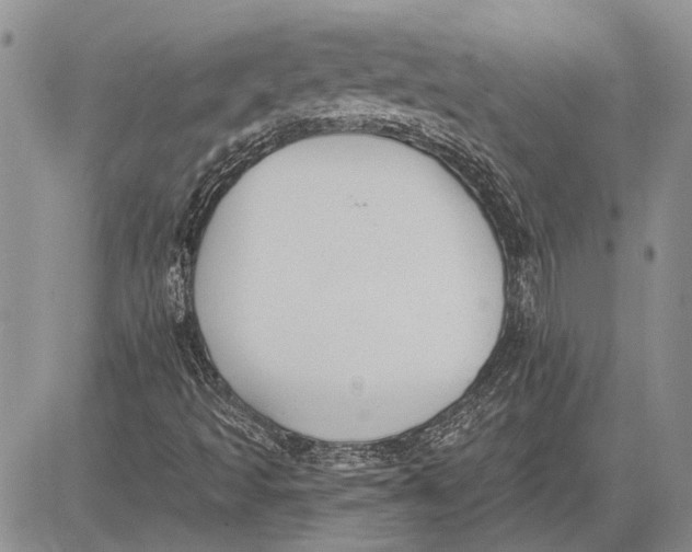 X0000081581493200702051226