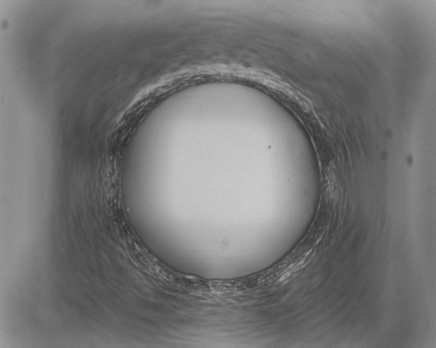 X0000081581494200702051226