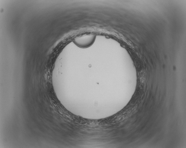 X0000081581495200702051226