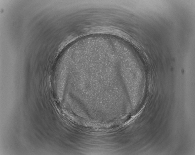 X0000081581497200702051226