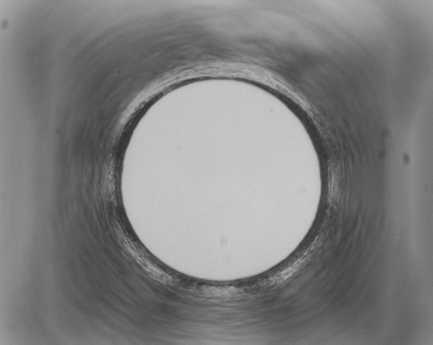 X0000081581498200702051226