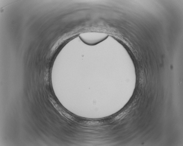 X0000081581499200702051226