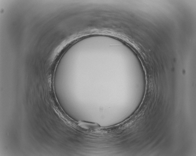 X0000081581503200702051226