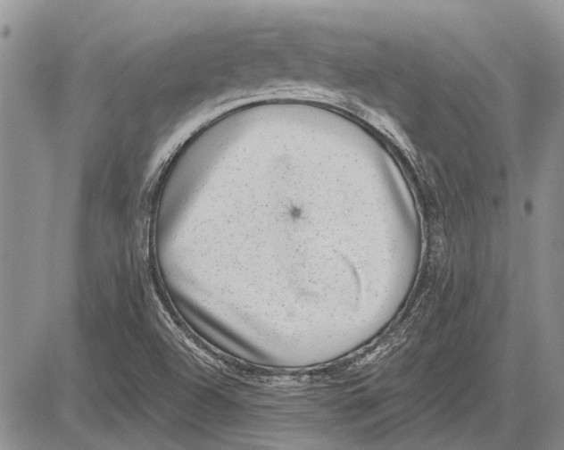 X0000081581504200702051226