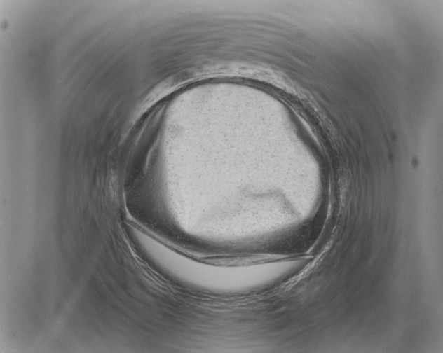 X0000081581505200702051226