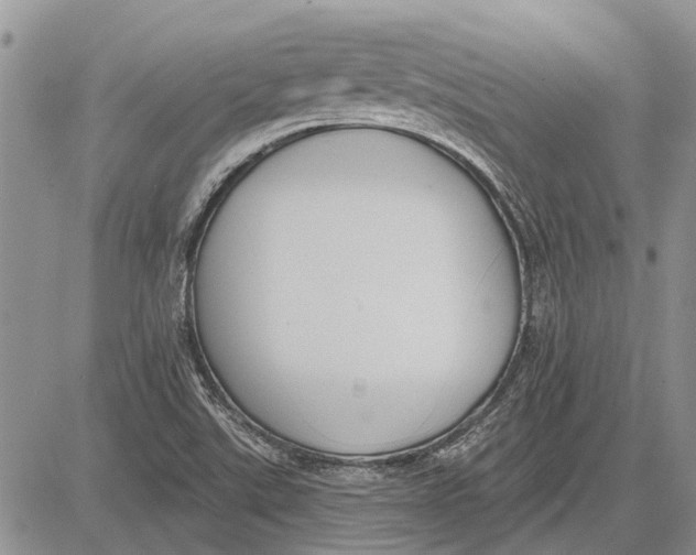 X0000081581507200702051226