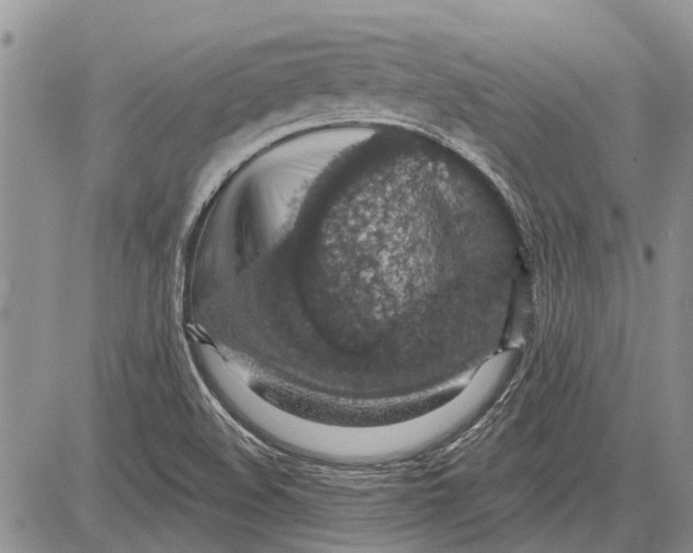 X0000081581508200702051226