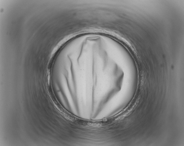 X0000081581509200702051226