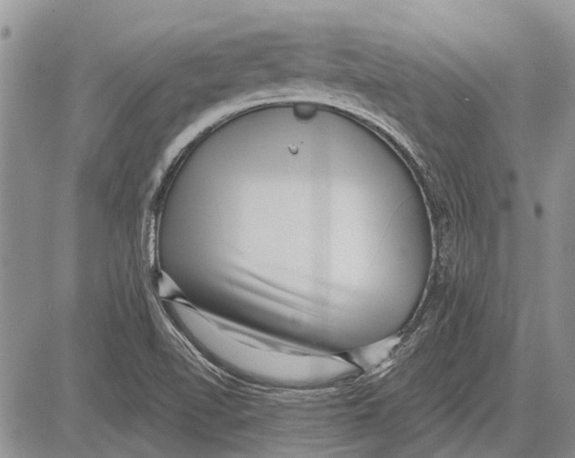 X0000081581510200702051226