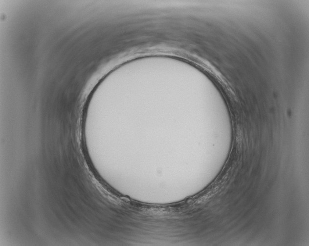 X0000081581512200702051226