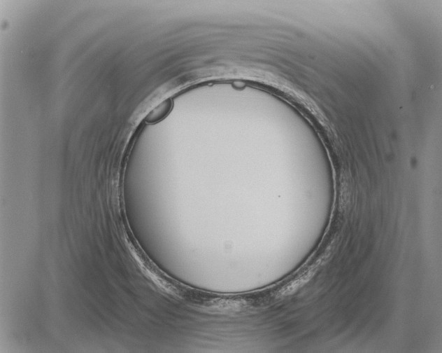 X0000081581513200702051226