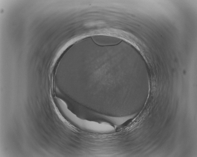 X0000081581515200702051226