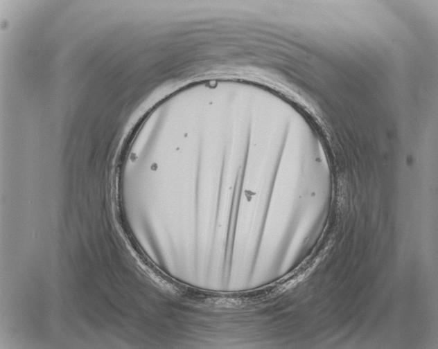 X0000081581517200702051226