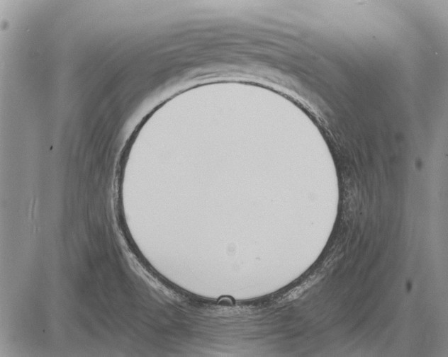 X0000081581518200702051226