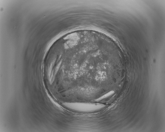 X0000081581519200702051226