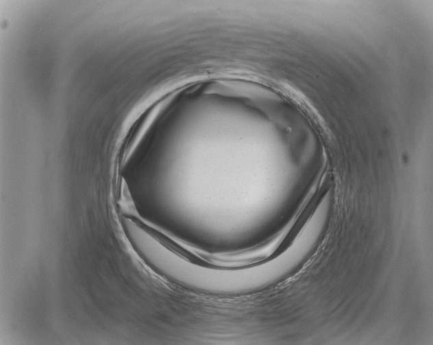 X0000081581520200702051226