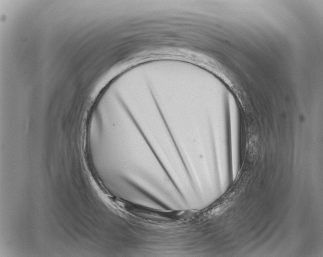 X0000081581523200702051226