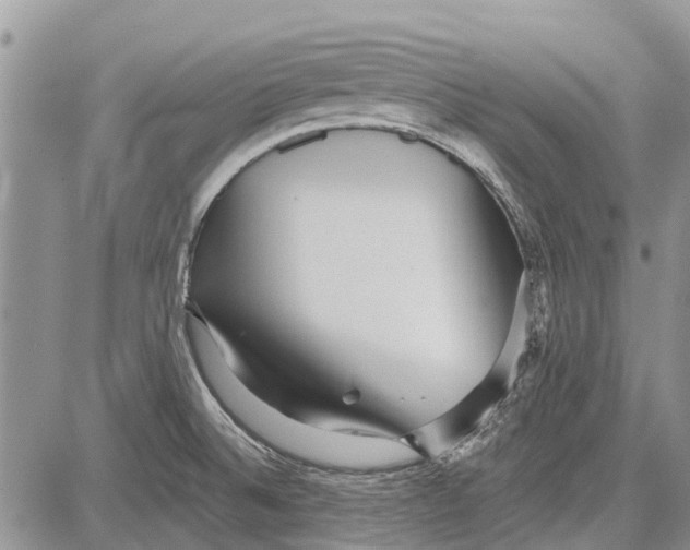 X0000081581524200702051226