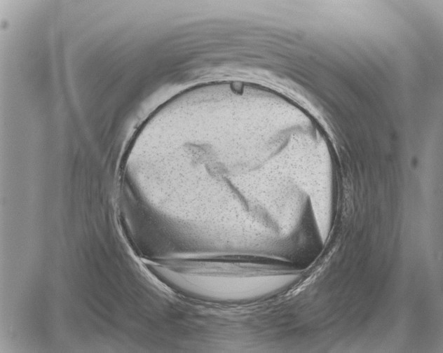 X0000081581525200702051226