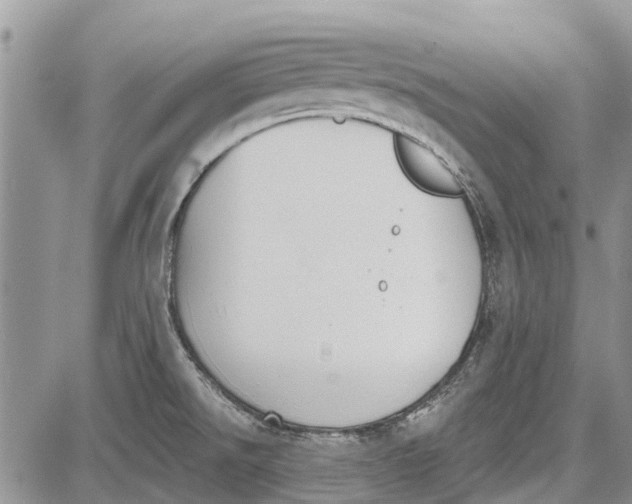 X0000081581526200702051226