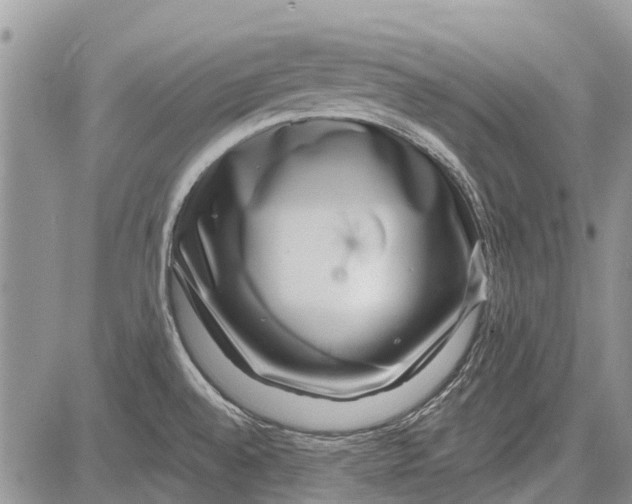 X0000081581528200702051226