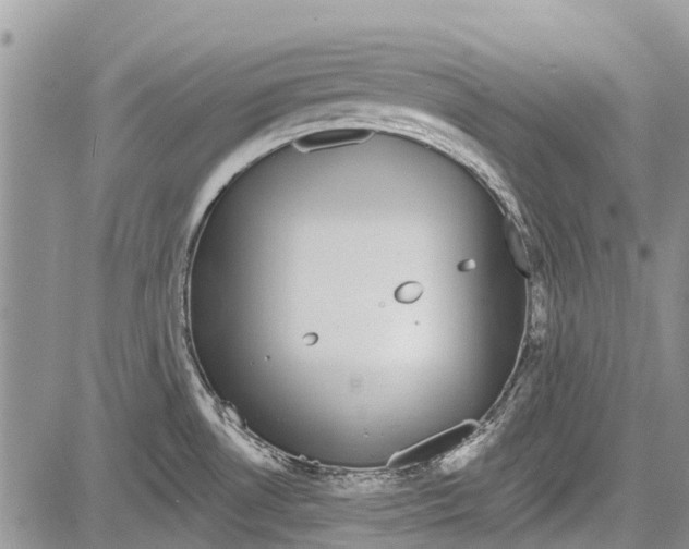 X0000081581530200702051226