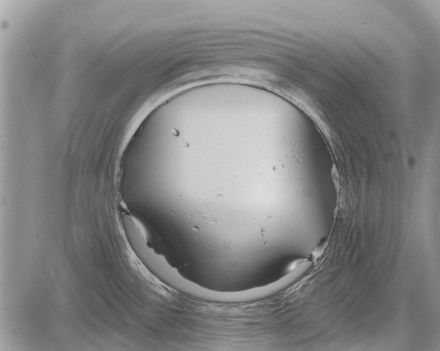 X0000081581532200702051226