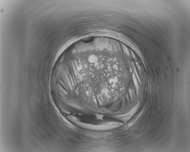 X0000081581533200702051226