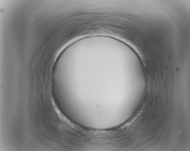 X0000081581534200702051226