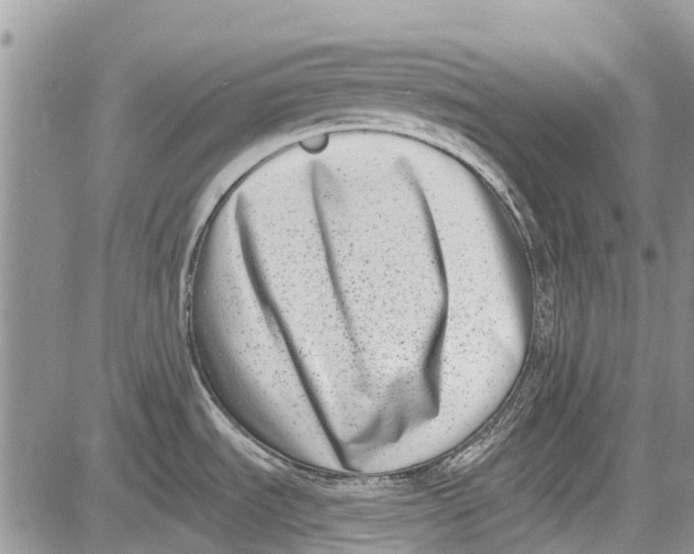 X0000081581535200702051226