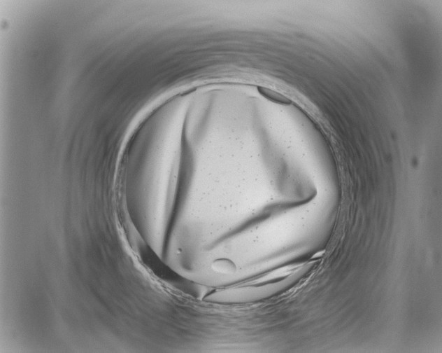 X0000081581536200702051226