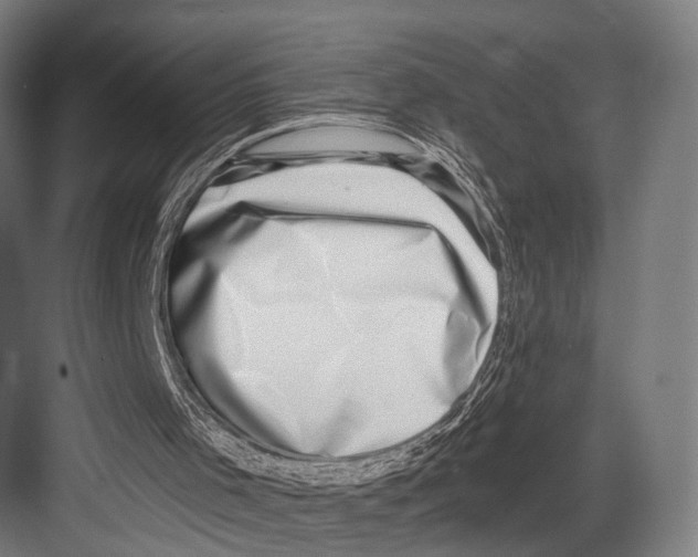 X0000081580001200702121500