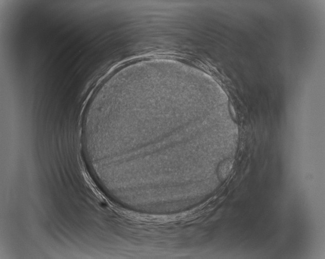 X0000081580002200702121500