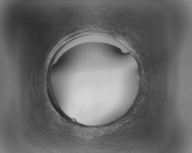 X0000081580007200702121459