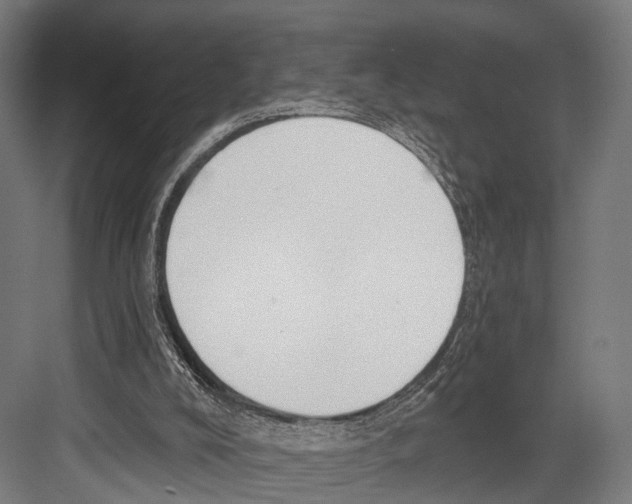 X0000081580008200702121459