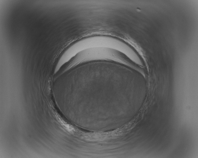 X0000081580009200702121459