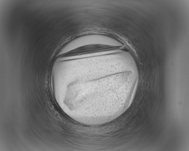 X0000081580010200702121459