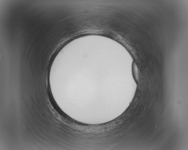 X0000081580011200702121459