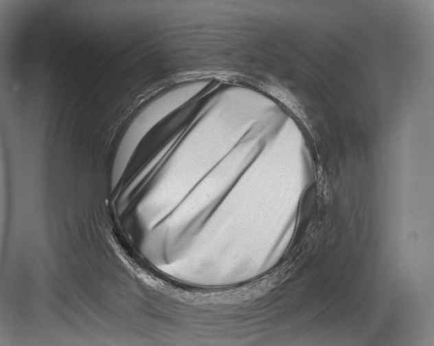 X0000081580013200702121459