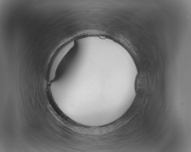 X0000081580015200702121459