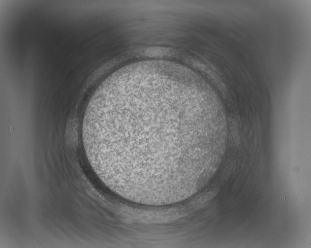 X0000081580016200702121459