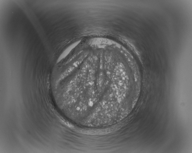 X0000081580017200702121459