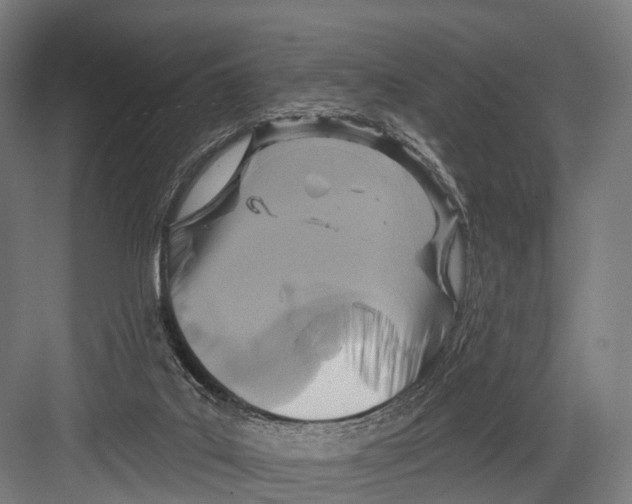 X0000081580019200702121459