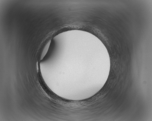 X0000081580020200702121459