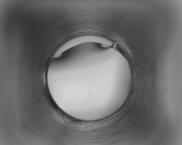 X0000081580021200702121459